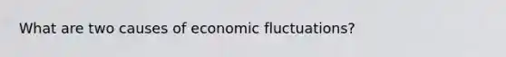 What are two causes of economic fluctuations?