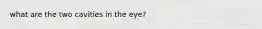 what are the two cavities in the eye?