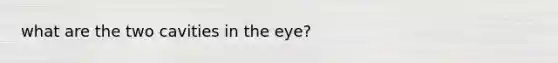 what are the two cavities in the eye?