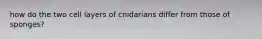 how do the two cell layers of cnidarians differ from those of sponges?
