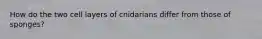 How do the two cell layers of cnidarians differ from those of sponges?
