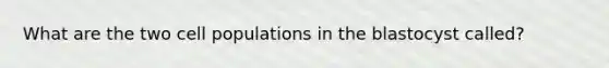 What are the two cell populations in the blastocyst called?