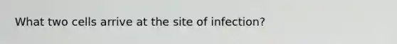 What two cells arrive at the site of infection?