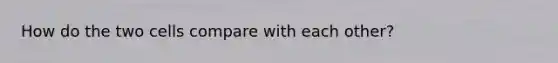 How do the two cells compare with each other?
