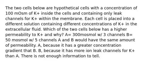 The two cells below are hypothetical cells with a concentration of 100 mOsm of K+ inside the cells and containing only leak channels for K+ within the membrane. Each cell is placed into a different solution containing different concentrations of K+ in the extracellular fluid. Which of the two cells below has a higher permeability to K+ and why? A= 300mosmol w/ 3 channels B= 50 mosmol w/ 5 channels A and B would have the same amount of permeability. A, because it has a greater concentration gradient that B. B, because it has more ion leak channels for K+ than A. There is not enough information to tell.