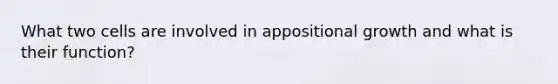 What two cells are involved in appositional growth and what is their function?