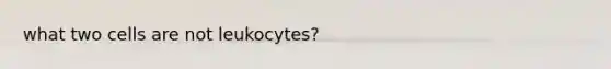 what two cells are not leukocytes?