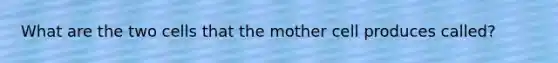 What are the two cells that the mother cell produces called?