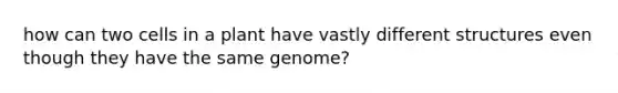 how can two cells in a plant have vastly different structures even though they have the same genome?