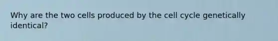 Why are the two cells produced by the <a href='https://www.questionai.com/knowledge/keQNMM7c75-cell-cycle' class='anchor-knowledge'>cell cycle</a> genetically identical?