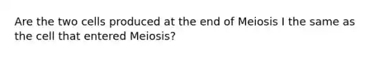 Are the two cells produced at the end of Meiosis I the same as the cell that entered Meiosis?