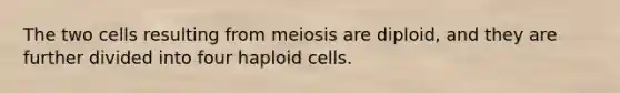 The two cells resulting from meiosis are diploid, and they are further divided into four haploid cells.