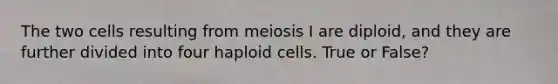 The two cells resulting from meiosis I are diploid, and they are further divided into four haploid cells. True or False?