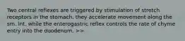 Two central reflexes are triggered by stimulation of stretch receptors in the stomach. they accelerate movement along the sm. int. while the enterogastric reflex controls the rate of chyme entry into the duodenum. >>