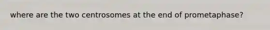 where are the two centrosomes at the end of prometaphase?