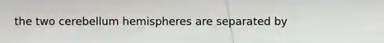 the two cerebellum hemispheres are separated by