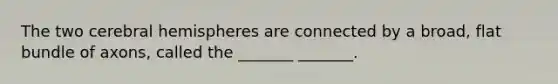 The two cerebral hemispheres are connected by a broad, flat bundle of axons, called the _______ _______.