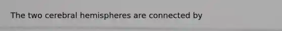 The two cerebral hemispheres are connected by