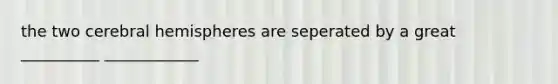 the two cerebral hemispheres are seperated by a great __________ ____________