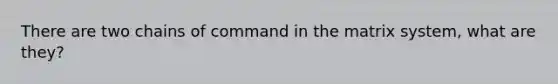 There are two chains of command in the matrix system, what are they?