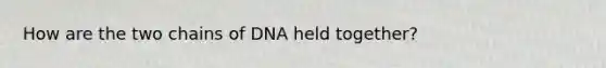 How are the two chains of DNA held together?