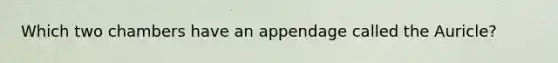 Which two chambers have an appendage called the Auricle?