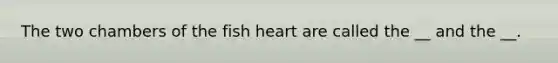 The two chambers of the fish heart are called the __ and the __.