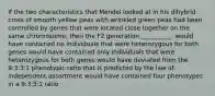 If the two characteristics that Mendel looked at in his dihybrid cross of smooth yellow peas with wrinkled green peas had been controlled by genes that were located close together on the same chromosome, then the F2 generation __________. would have contained no individuals that were heterozygous for both genes would have contained only individuals that were heterozygous for both genes would have deviated from the 9:3:3:1 phenotypic ratio that is predicted by the law of independent assortment would have contained four phenotypes in a 9:3:3:1 ratio