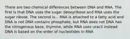 There are two chemical differences between DNA and RNA. The first is that DNA uses the sugar deoxyribose and RNA uses the sugar ribose. The second is... RNA is attached to a fatty acid and DNA is not DNA contains phosphate, but RNA does not DNA has the nitrogenous base, thymine, while RNA uses uracil instead DNA is based on the order of nucleotides in RNA