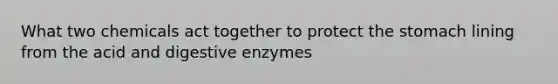 What two chemicals act together to protect the stomach lining from the acid and digestive enzymes