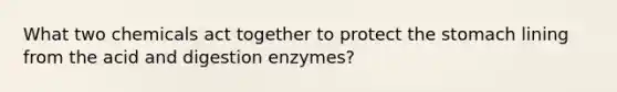 What two chemicals act together to protect the stomach lining from the acid and digestion enzymes?