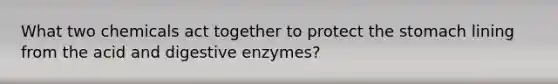 What two chemicals act together to protect the stomach lining from the acid and digestive enzymes?