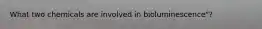 What two chemicals are involved in bioluminescence"?