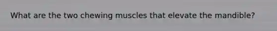 What are the two chewing muscles that elevate the mandible?