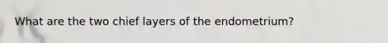 What are the two chief layers of the endometrium?