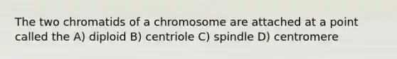 The two chromatids of a chromosome are attached at a point called the A) diploid B) centriole C) spindle D) centromere