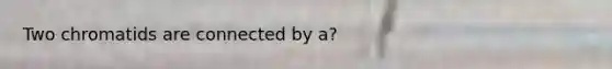 Two chromatids are connected by a?