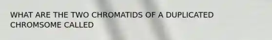 WHAT ARE THE TWO CHROMATIDS OF A DUPLICATED CHROMSOME CALLED