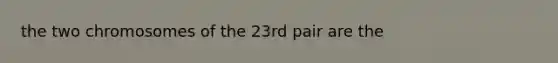 the two chromosomes of the 23rd pair are the