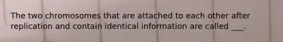 The two chromosomes that are attached to each other after replication and contain identical information are called ___.