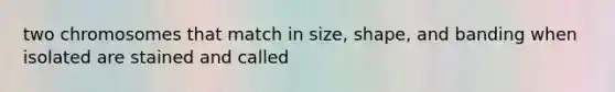 two chromosomes that match in size, shape, and banding when isolated are stained and called