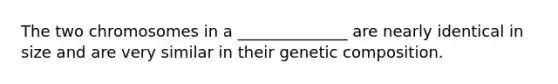 The two chromosomes in a ______________ are nearly identical in size and are very similar in their genetic composition.