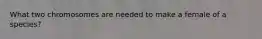 What two chromosomes are needed to make a female of a species?