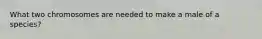 What two chromosomes are needed to make a male of a species?