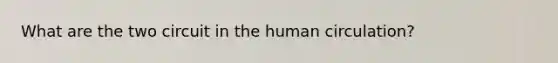 What are the two circuit in the human circulation?