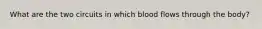 What are the two circuits in which blood flows through the body?