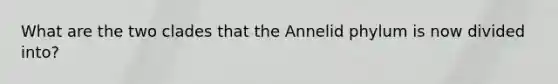 What are the two clades that the Annelid phylum is now divided into?