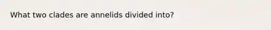 What two clades are annelids divided into?