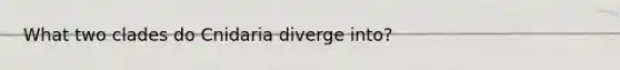 What two clades do Cnidaria diverge into?