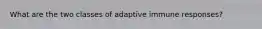 What are the two classes of adaptive immune responses?